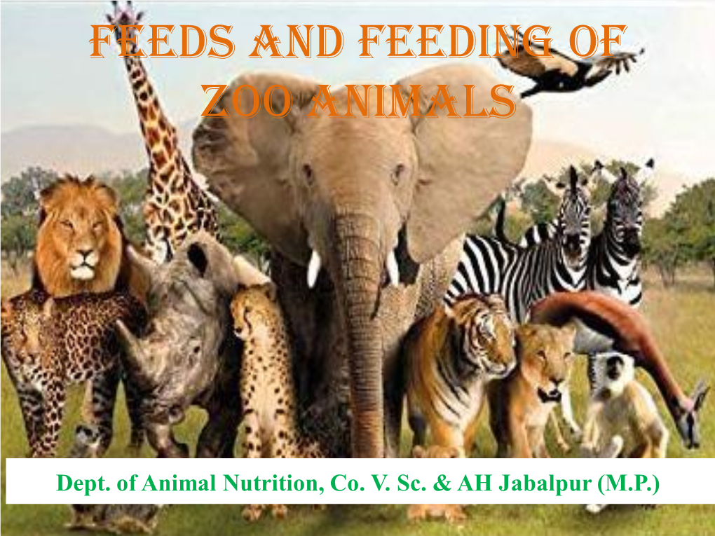 Feeds and Feeding of Zoo Animals