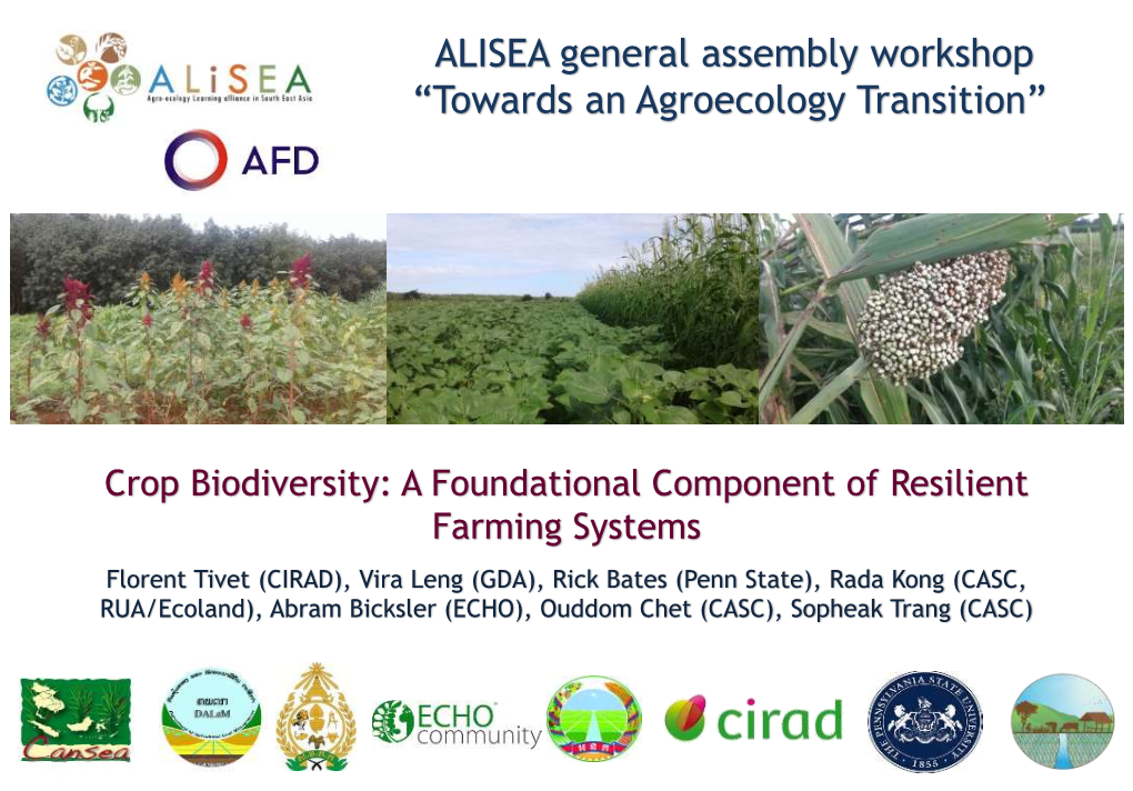 ALISEA General Assembly Workshop “Towards an Agroecology Transition”