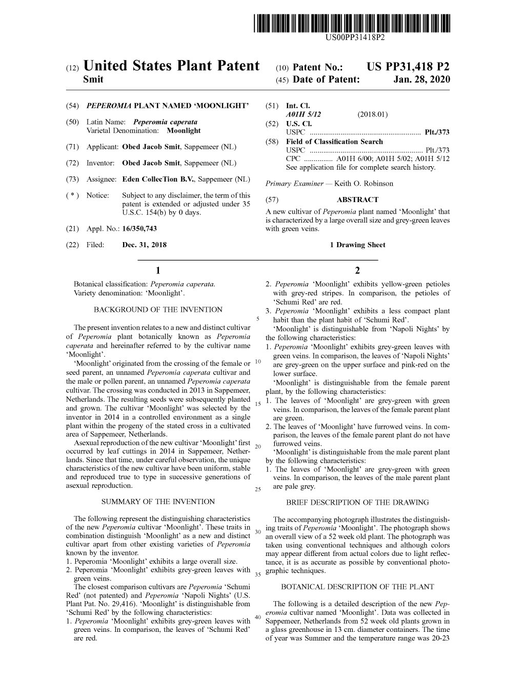 ( 12 ) United States Plant Patent ( 10 ) Patent No .: US PP31,418 P2