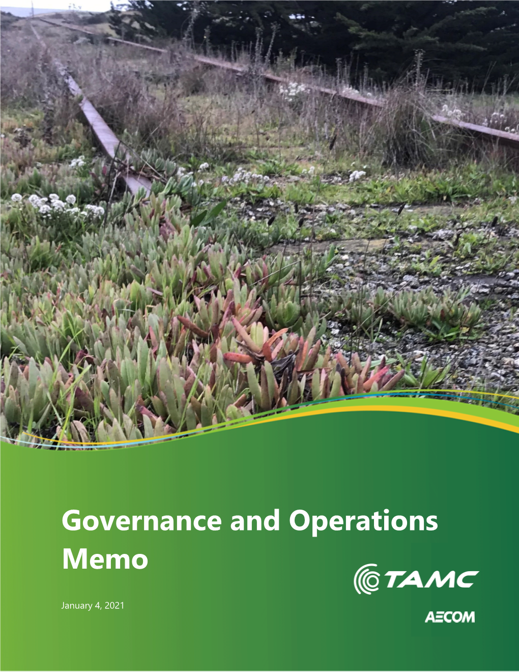 TAMC Governance Memo 210104