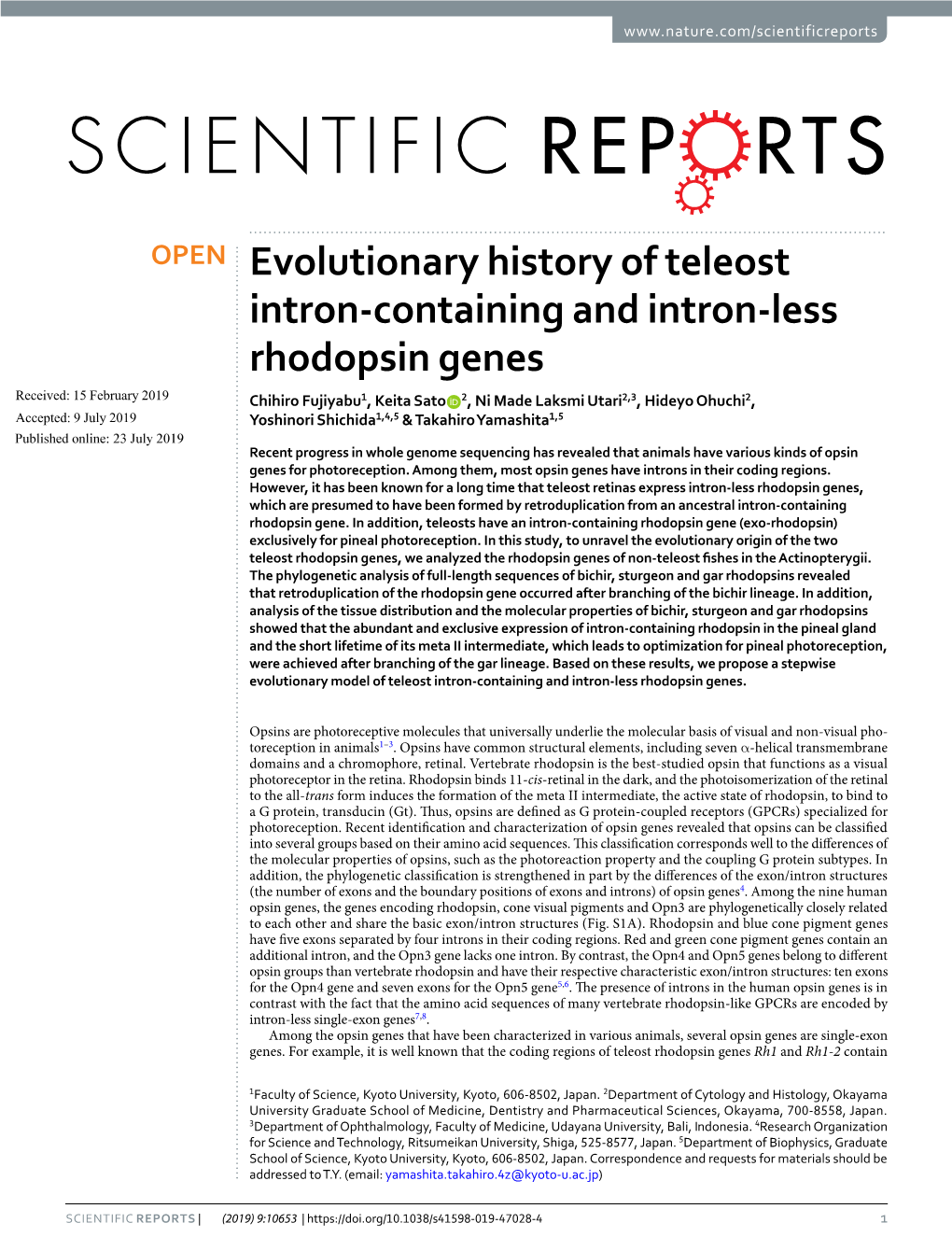 Evolutionary History of Teleost Intron-Containing and Intron-Less