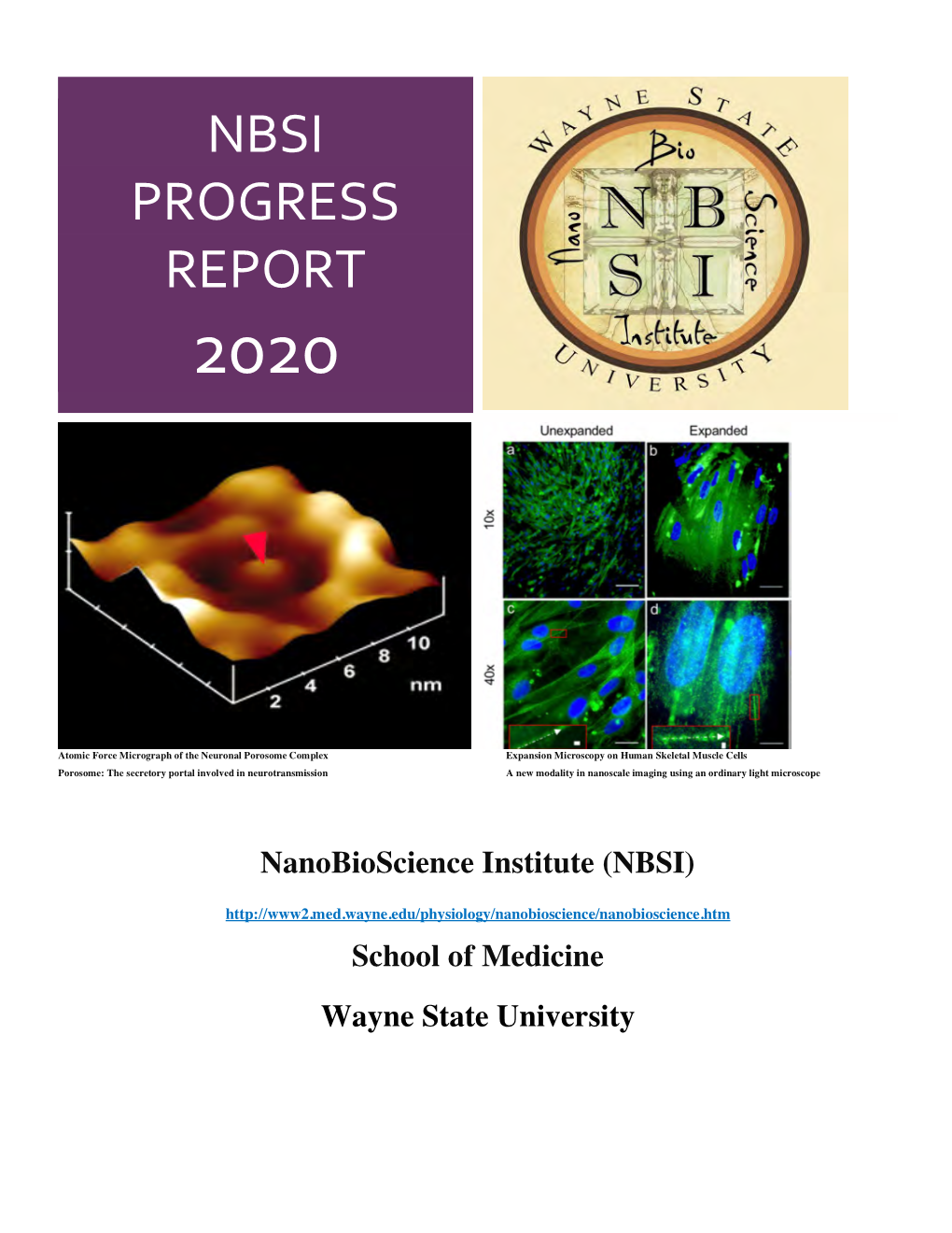 Nbsi Progress Report 2020