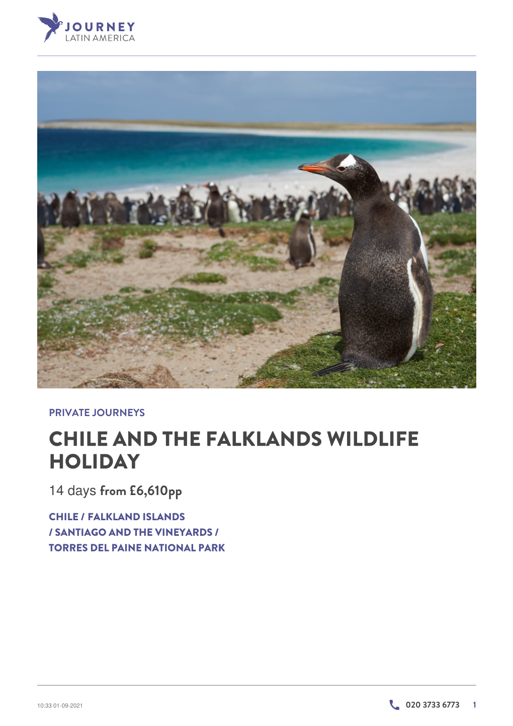 Chile and the Falklands Wildlife Holiday