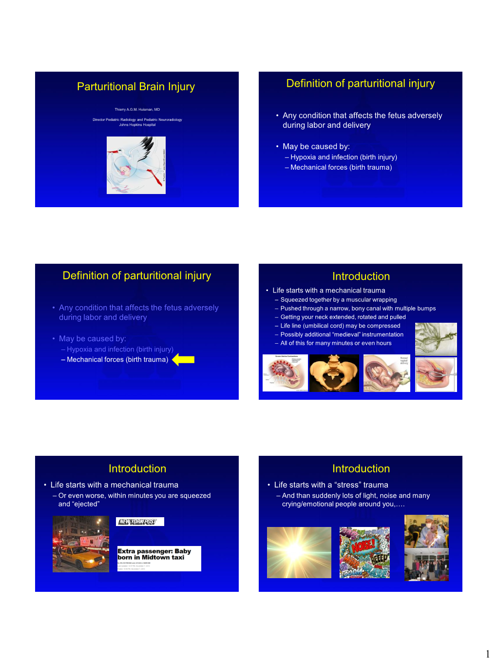 Parturitional Brain Injury Definition of Parturitional Injury