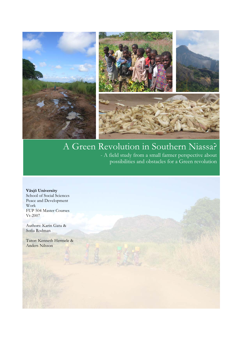 A Green Revolution in Southern Niassa? - a Field Study from a Small Farmer Perspective About Possibilities and Obstacles for a Green Revolution