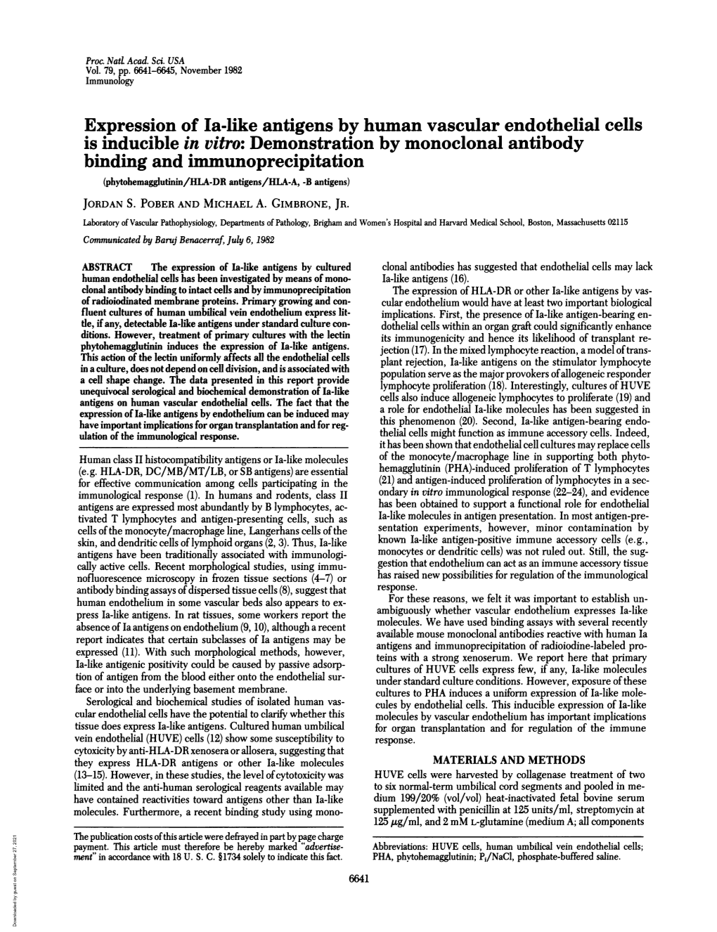 Binding and Immunoprecipitation (Phytohemagglutinin/HLA-DR Antigens/HLA-A, -B Antigens) JORDAN S