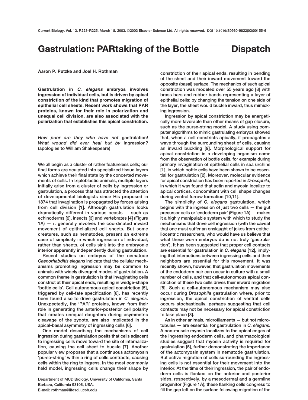 Gastrulation: Partaking of the Bottle Dispatch