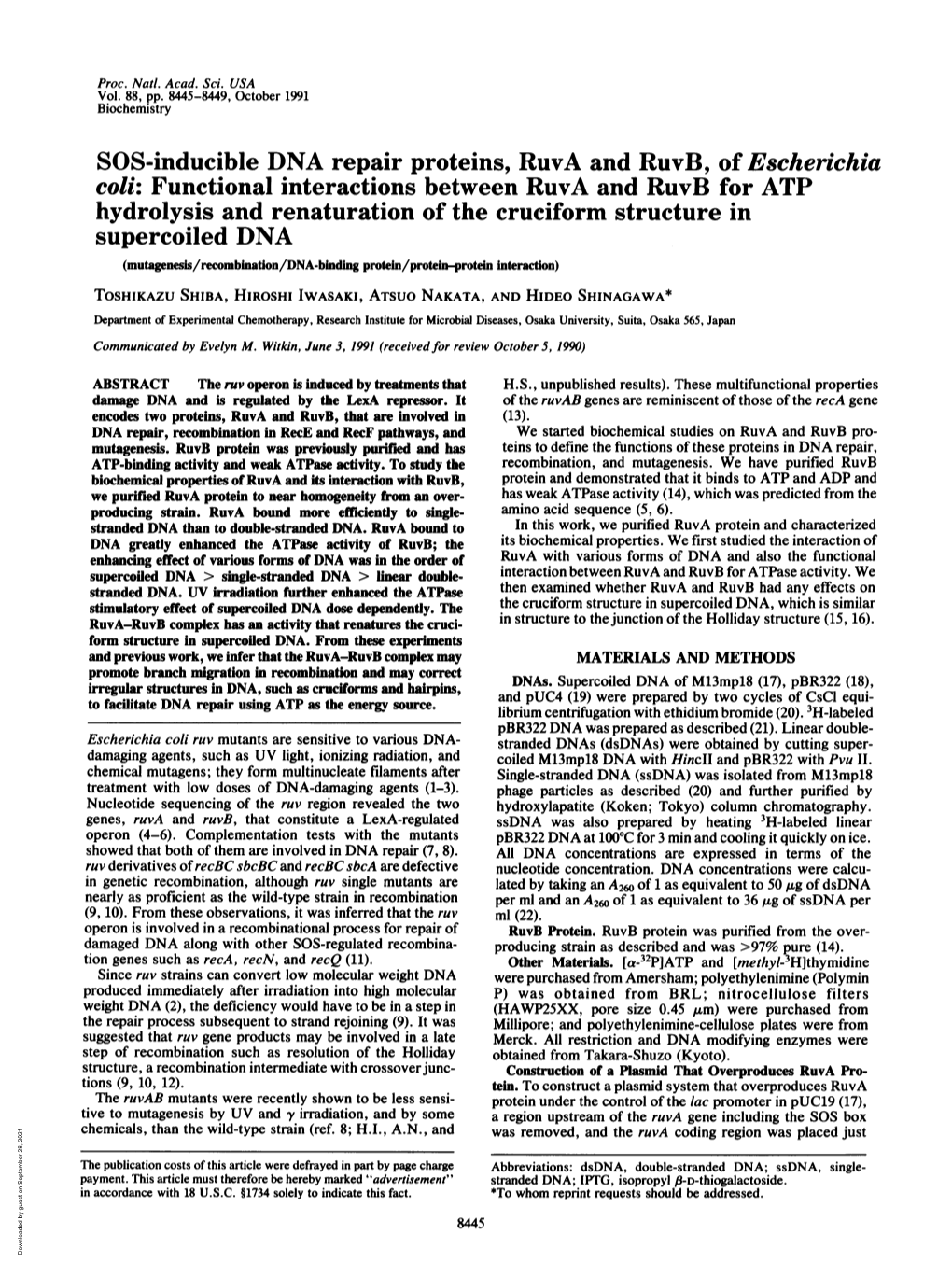 SOS-Inducible DNA Repair Proteins, Ruva and Ruvb, Of