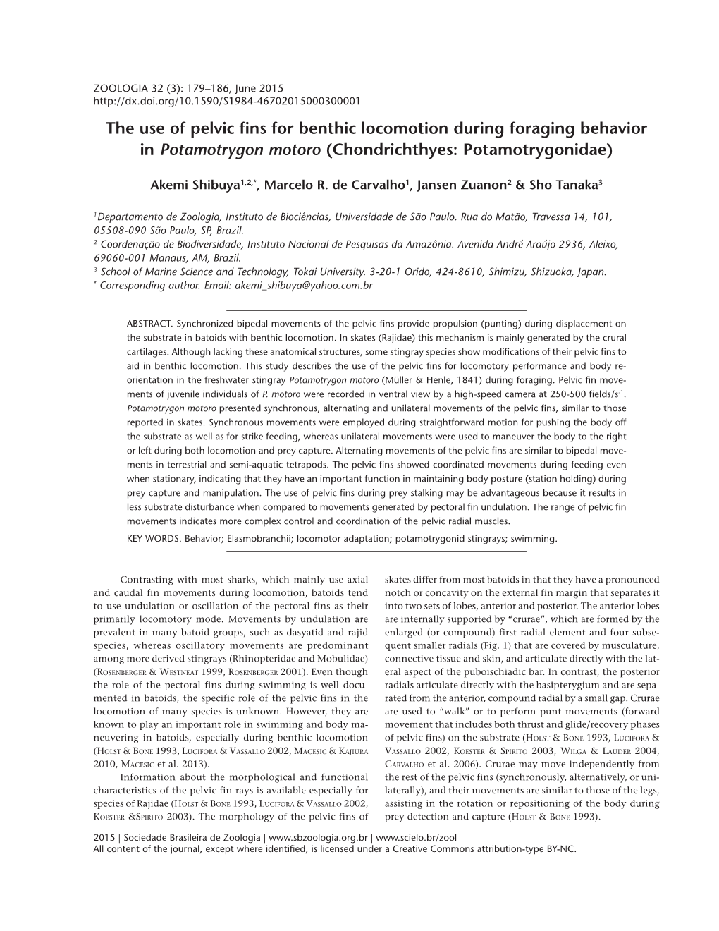 The Use of Pelvic Fins for Benthic Locomotion During Foraging Behavior in Potamotrygon Motoro (Chondrichthyes: Potamotrygonidae)