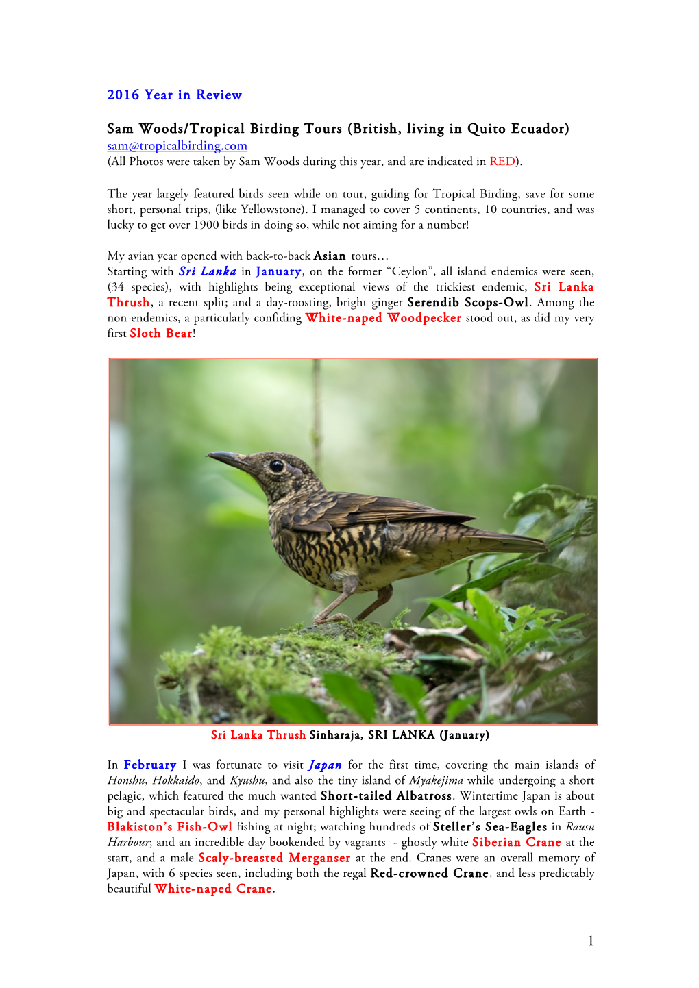 1 2016 Year in Review Sam Woods/Tropical Birding Tours