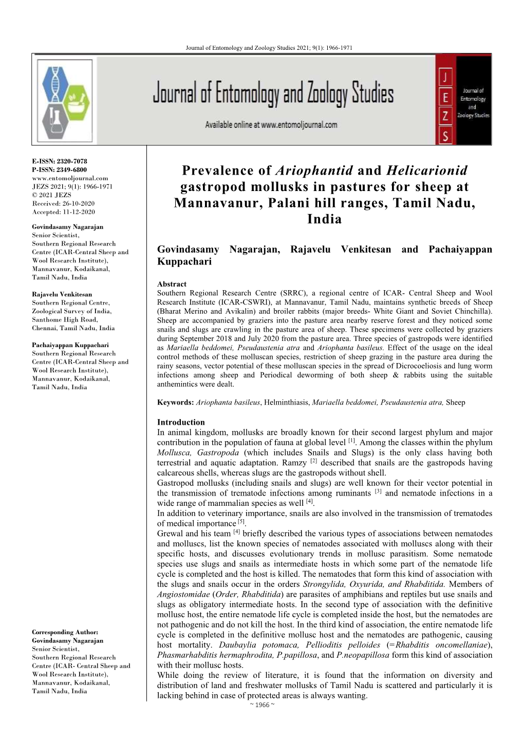 Prevalence of Ariophantid and Helicarionid Gastropod Mollusks In