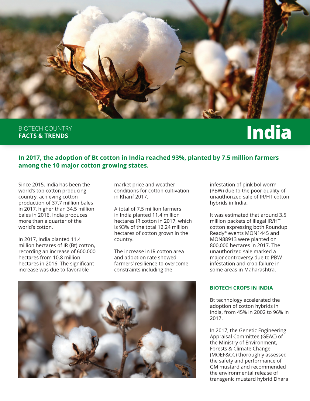 Biotech Country Facts & Trends in 2017, the Adoption of Bt Cotton in India