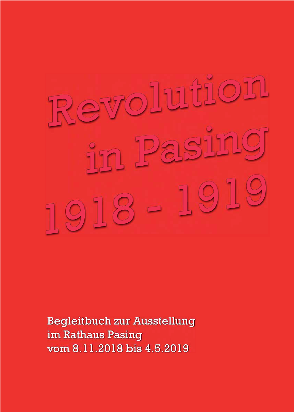 Revolution in Pasing 1918 - 1919