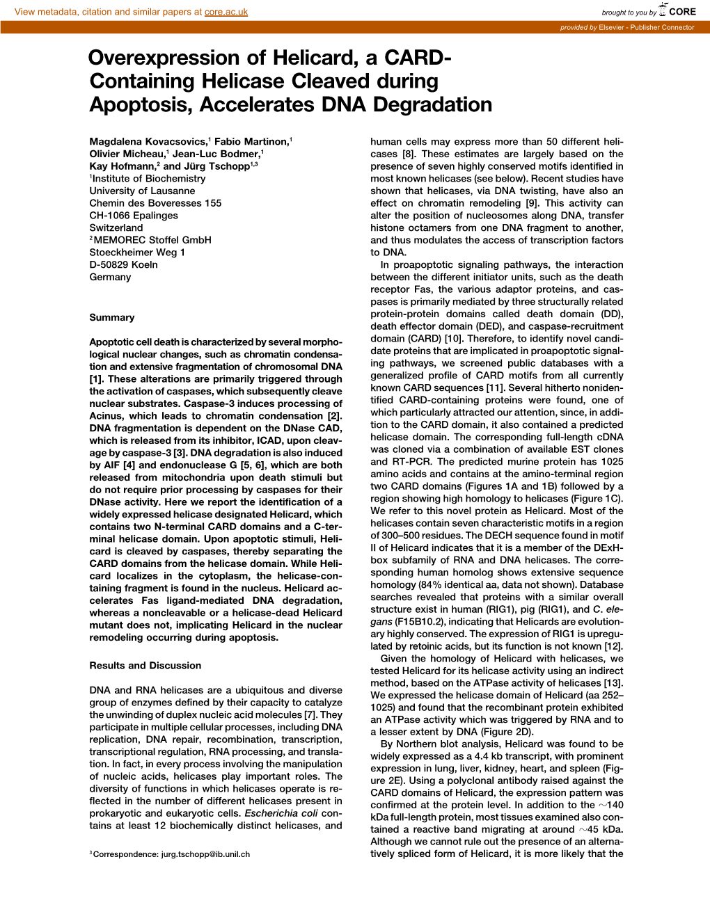 Containing Helicase Cleaved During Apoptosis, Accelerates DNA Degradation