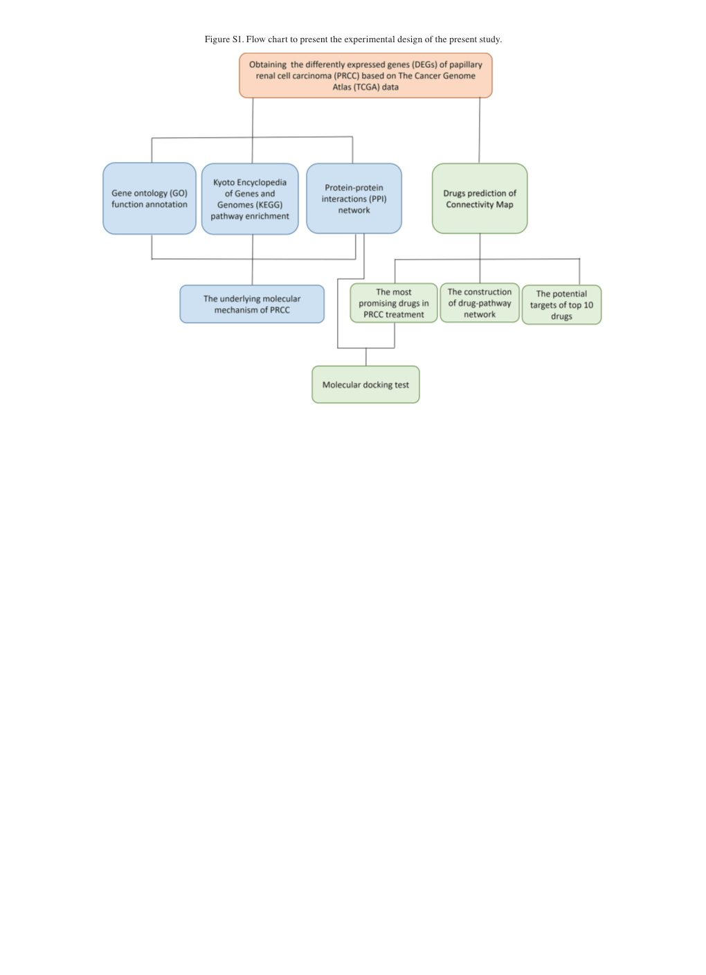 Figure S1. Flow Chart to Present the Experimental Design of the Present Study