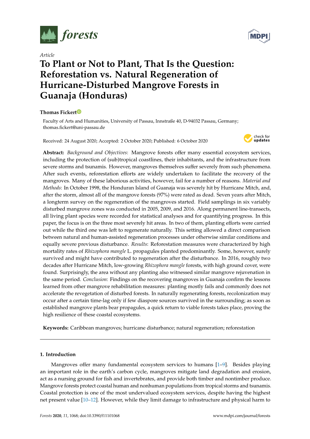 Reforestation Vs. Natural Regeneration of Hurricane-Disturbed Mangrove Forests in Guanaja (Honduras)