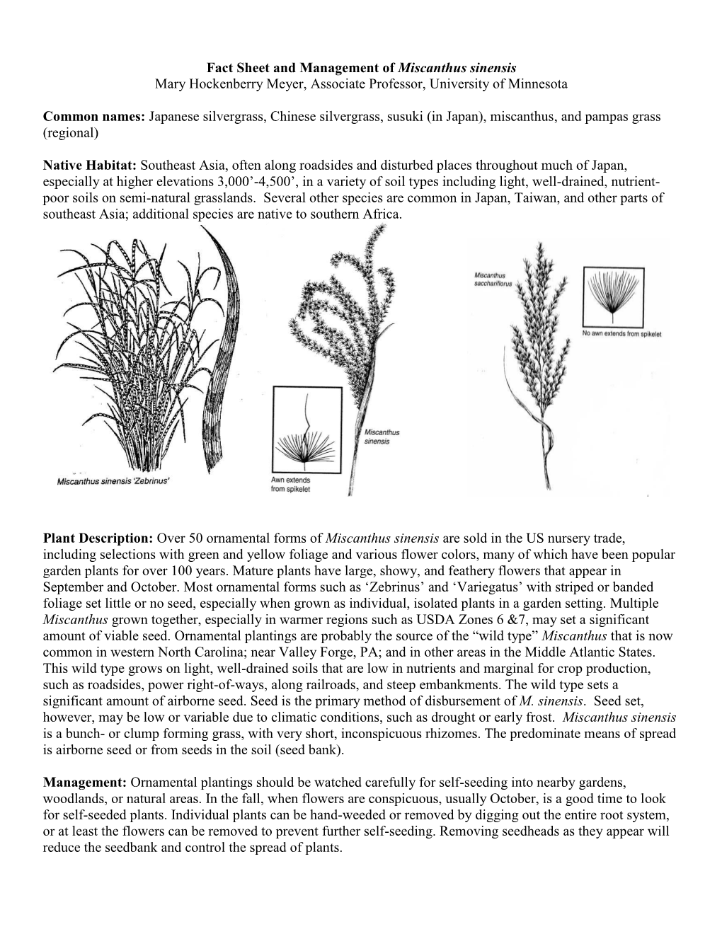 Management of Miscanthus Sinensis Mary Hockenberry Meyer, Associate Professor, University of Minnesota