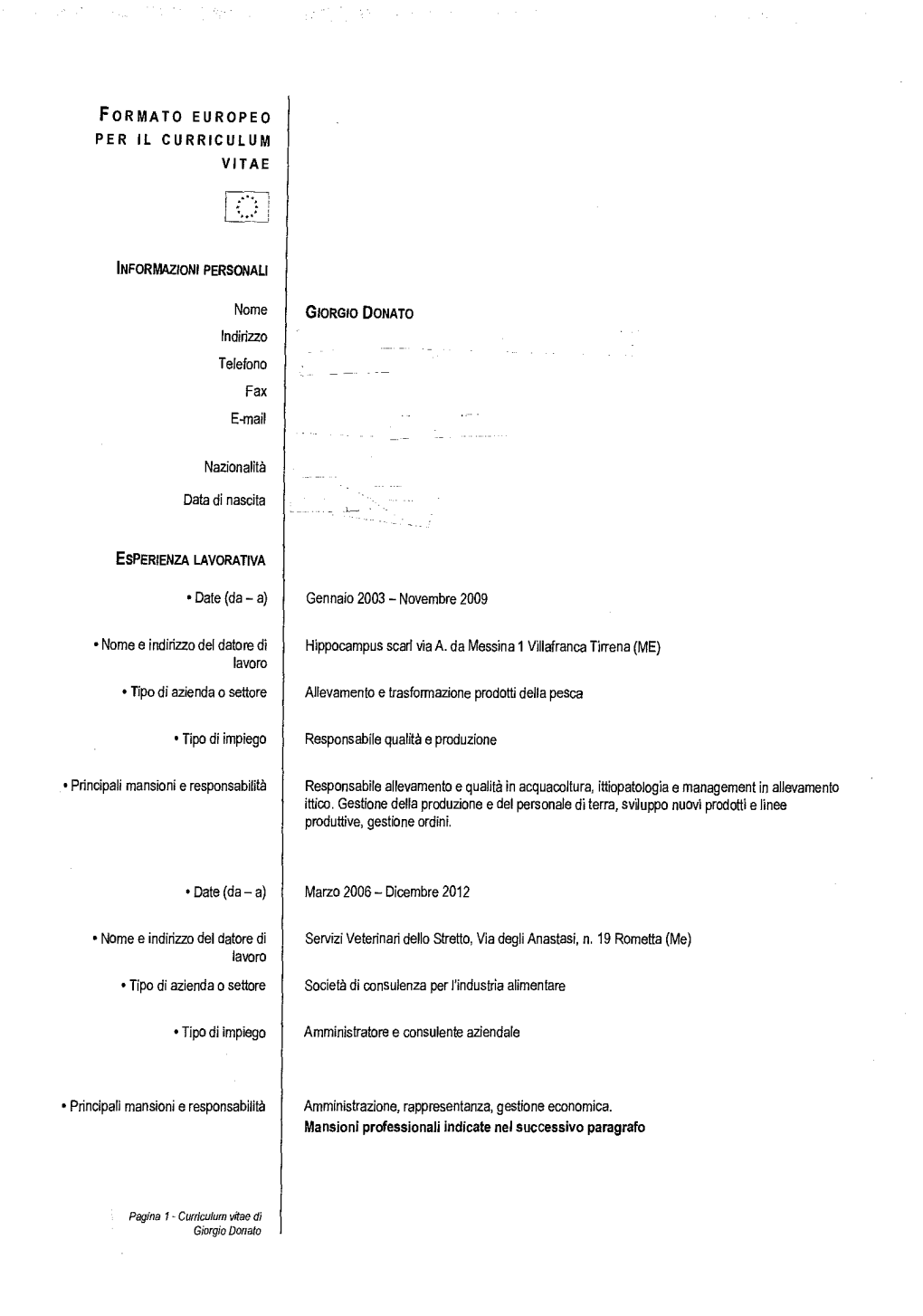 Formato Europeo Per Il Curriculum Vitae