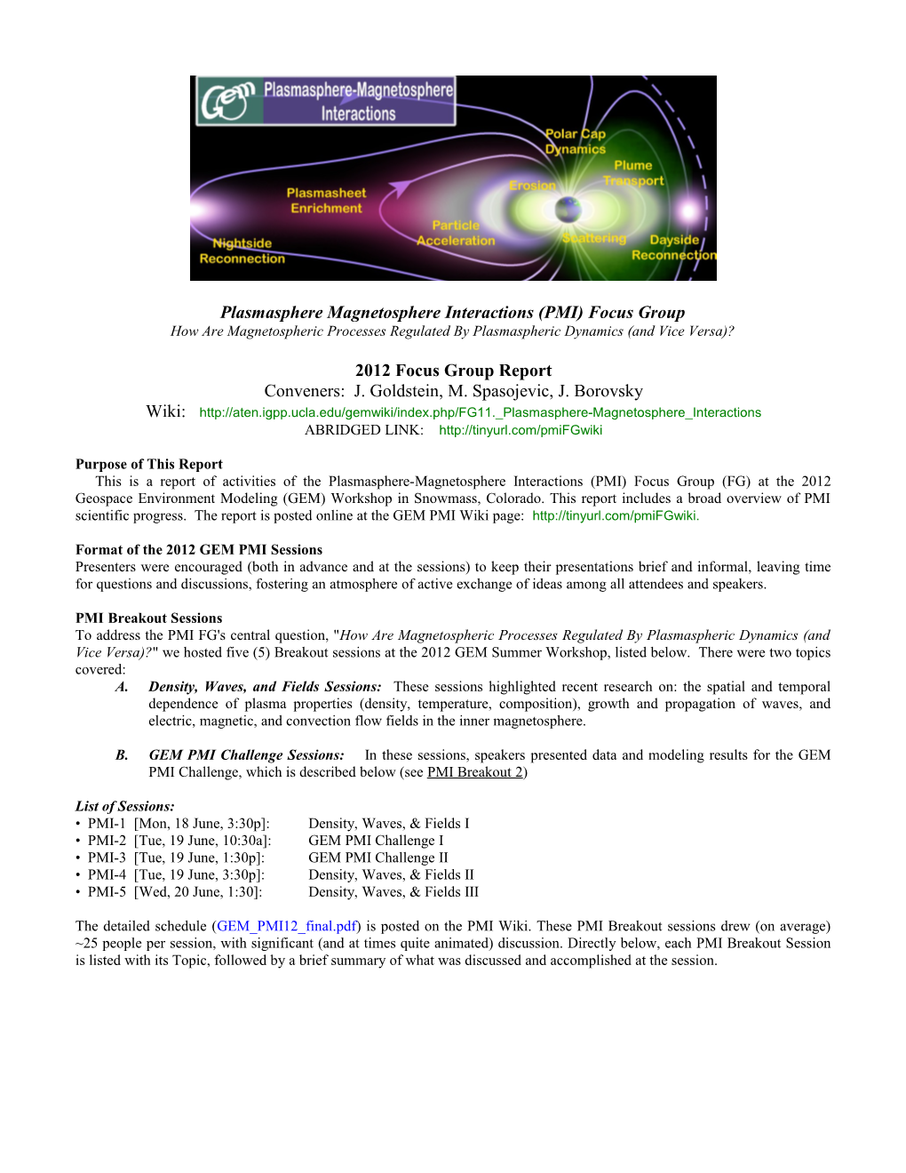 Plasmasphere Magnetosphere Interactions (PMI) Focus Group