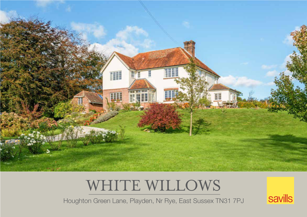 White Willows