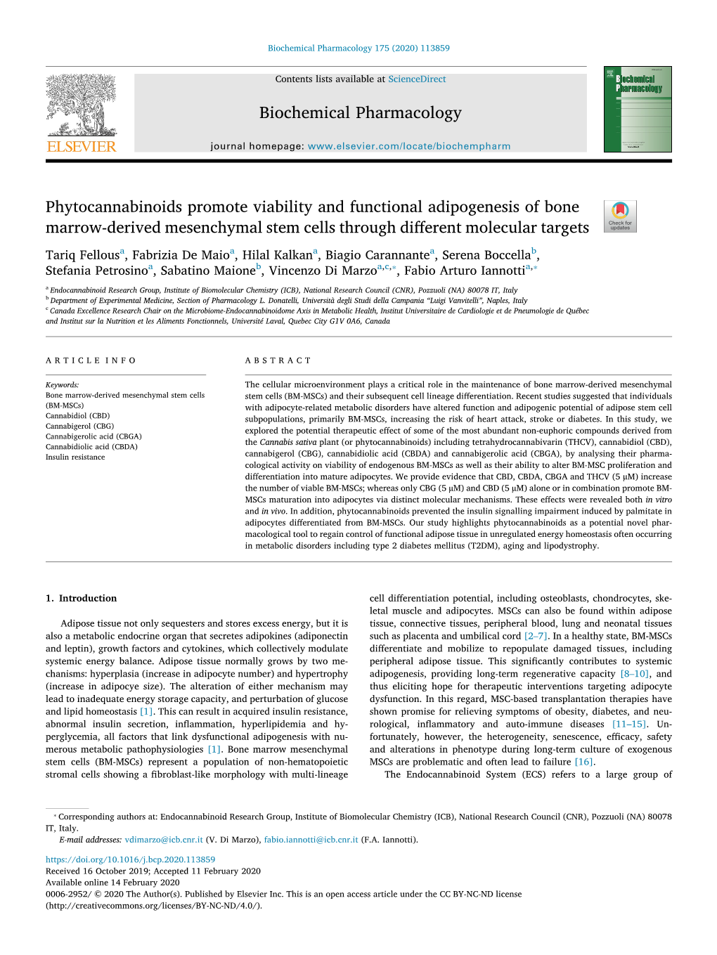 Phytocannabinoids Promote Viability and Functional Adipogenesis Of