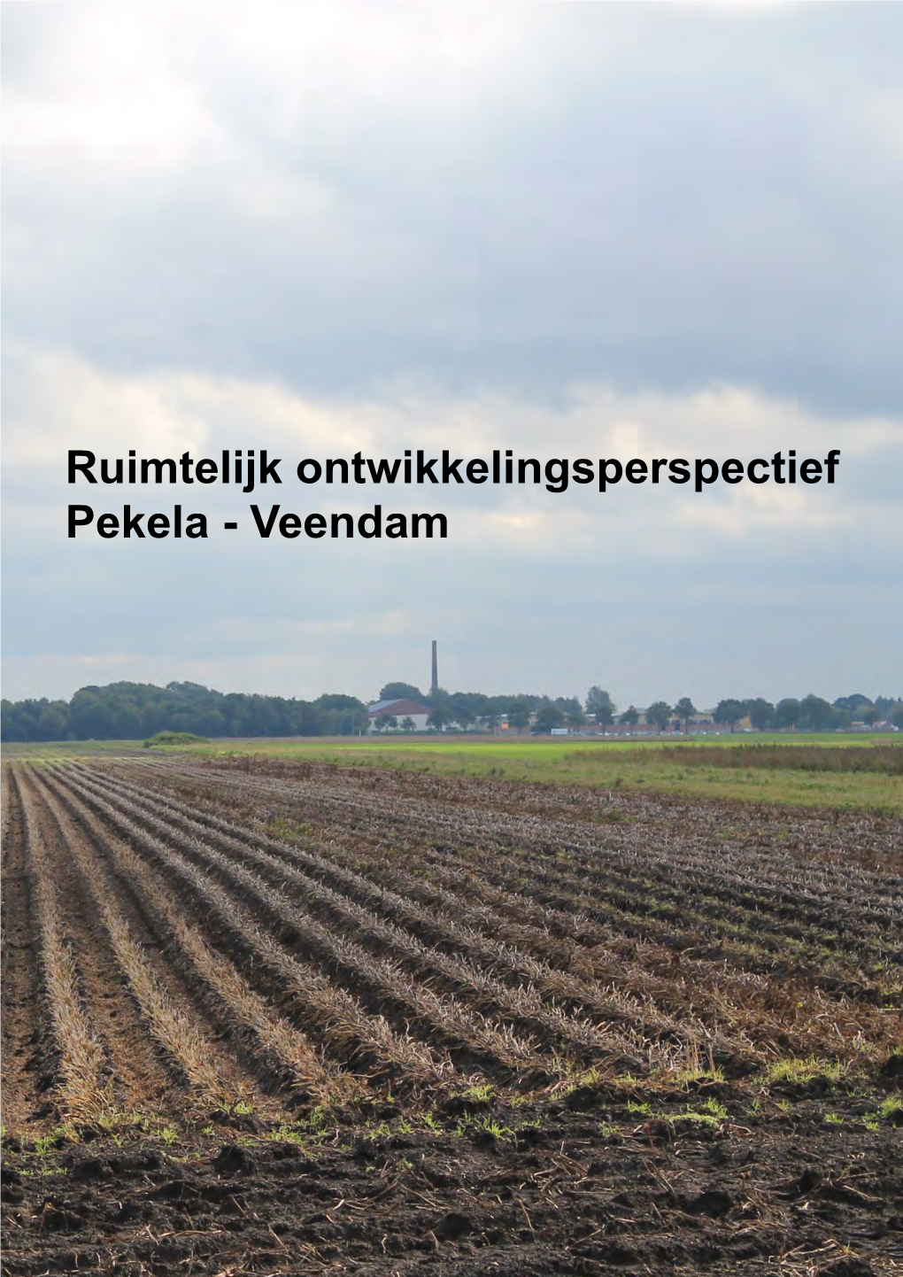 Ruimtelijk Ontwikkelingsperspectief Pekela - Veendam