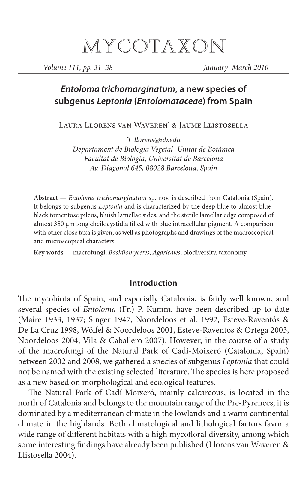 &lt;I&gt;Entoloma Trichomarginatum&lt;/I&gt;, a New Species of Subgenus &lt;I&gt;Leptonia&lt;/I&gt; (&lt;I&gt;Entolomataceae&lt;