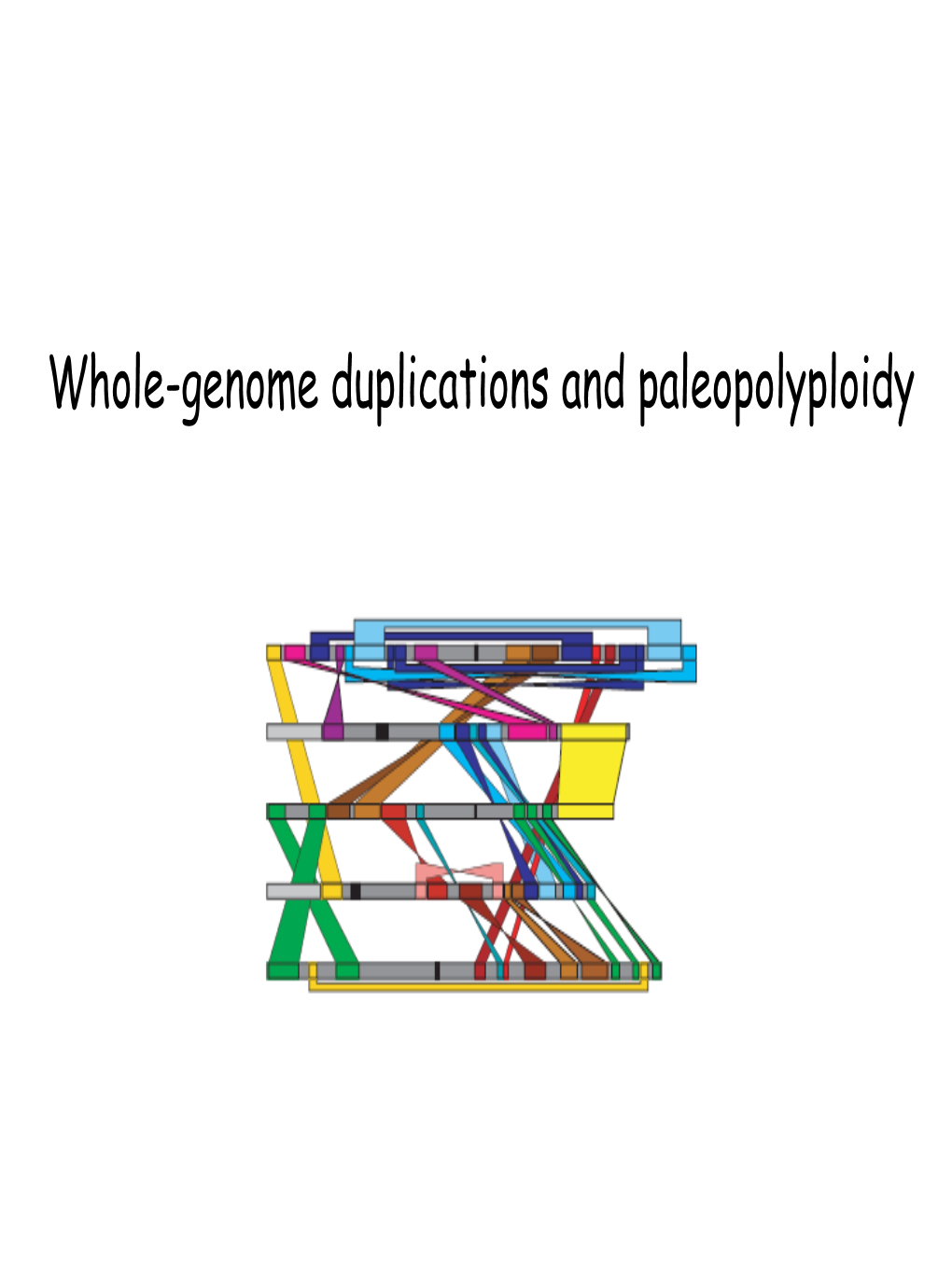 Whole-Genome Duplications and Paleopolyploidy Whole-Genome Duplications in Protozoa