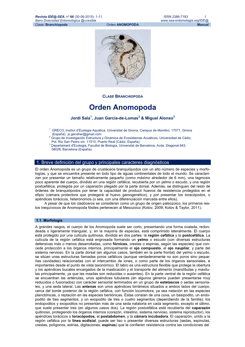 Orden ANOMOPODA Manual