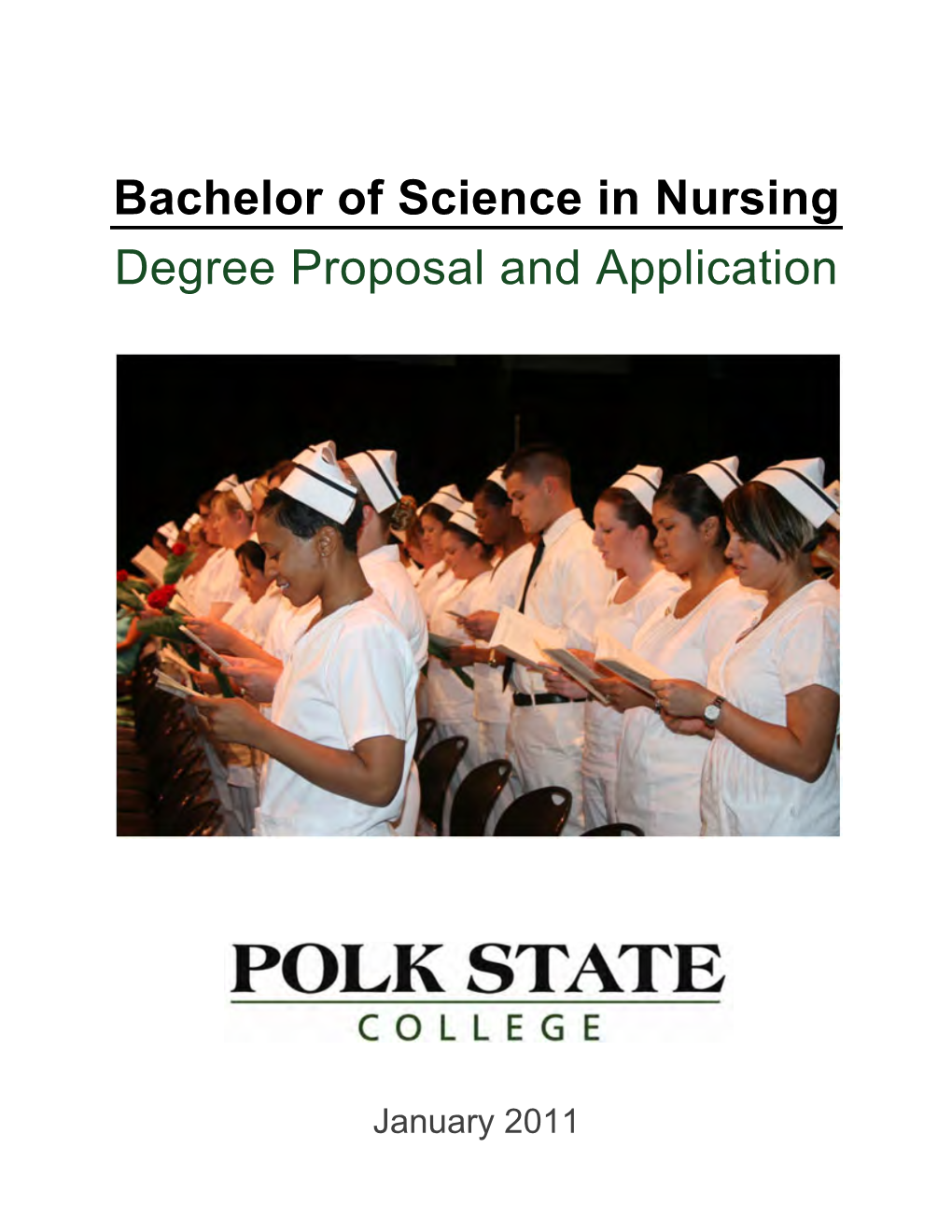 Bachelor of Science in Nursing Degree Proposal and Application