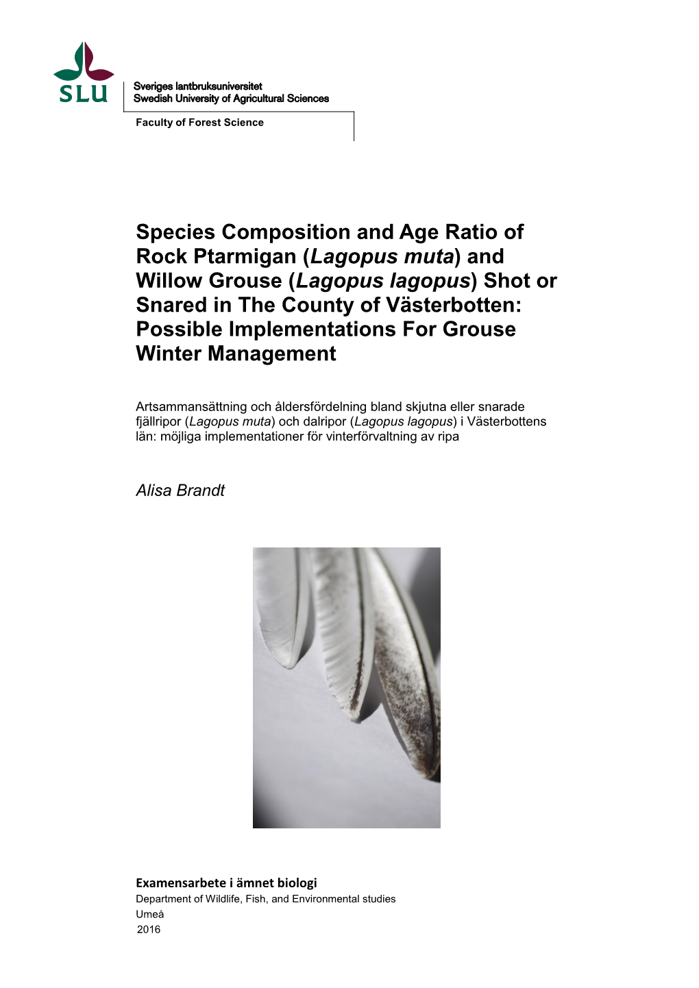 Species Composition and Age Ratio of Rock Ptarmigan (Lagopus Muta)