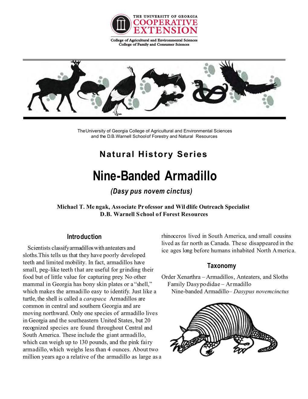 Natural History Series: Nine-Banded Armadillo