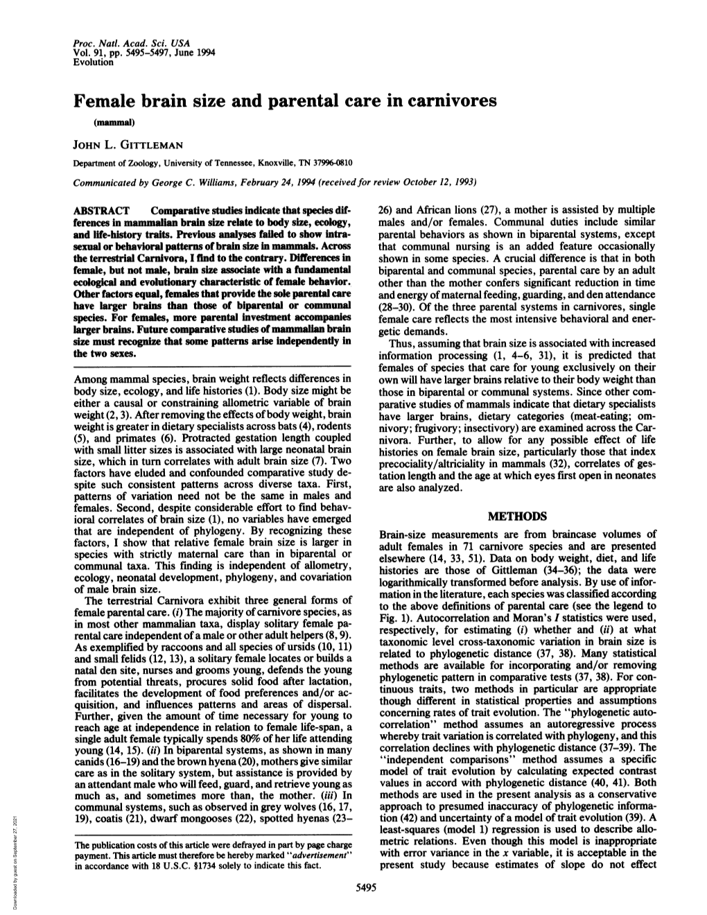 Female Brain Size and Parental Care in Carnivores (Mammal) JOHN L