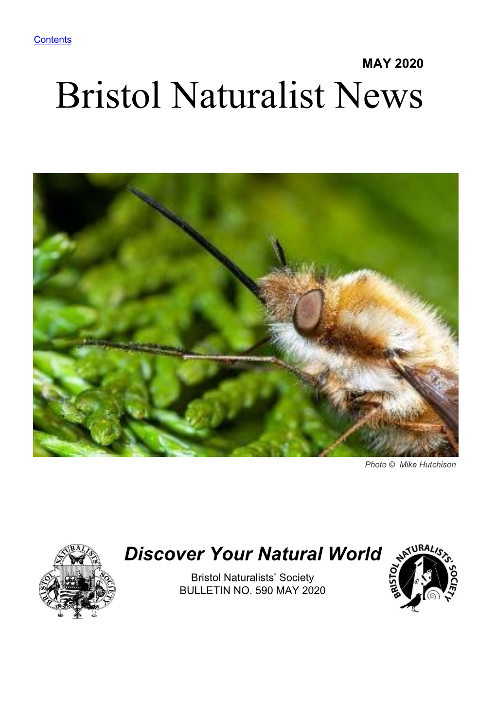 Bristol Naturalist News