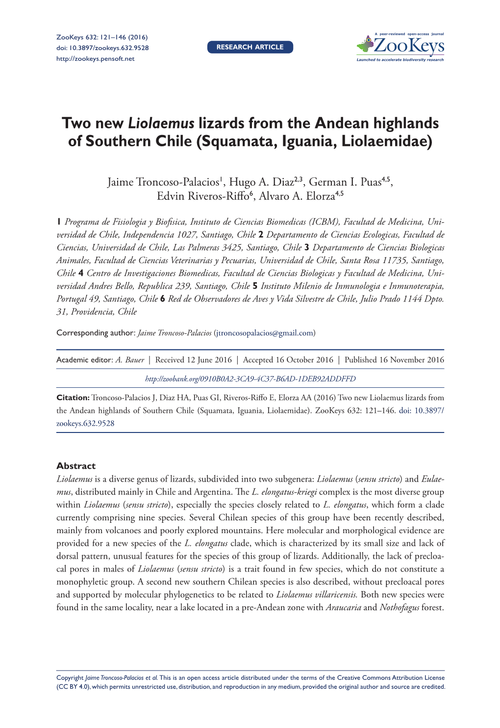 Two New Liolaemus Lizards from the Andean Highlands of Southern Chile (Squamata, Iguania, Liolaemidae)