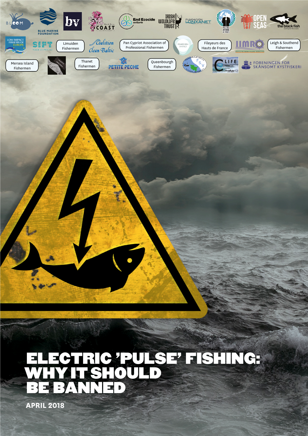 Electric 'Pulse' Fishing