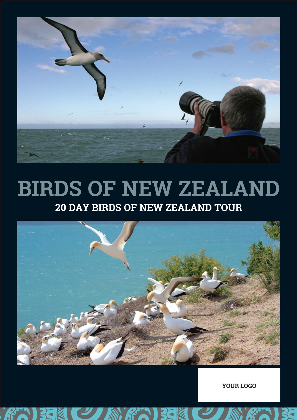 Birds of New Zealand 20 Day Birds of New Zealand Tour