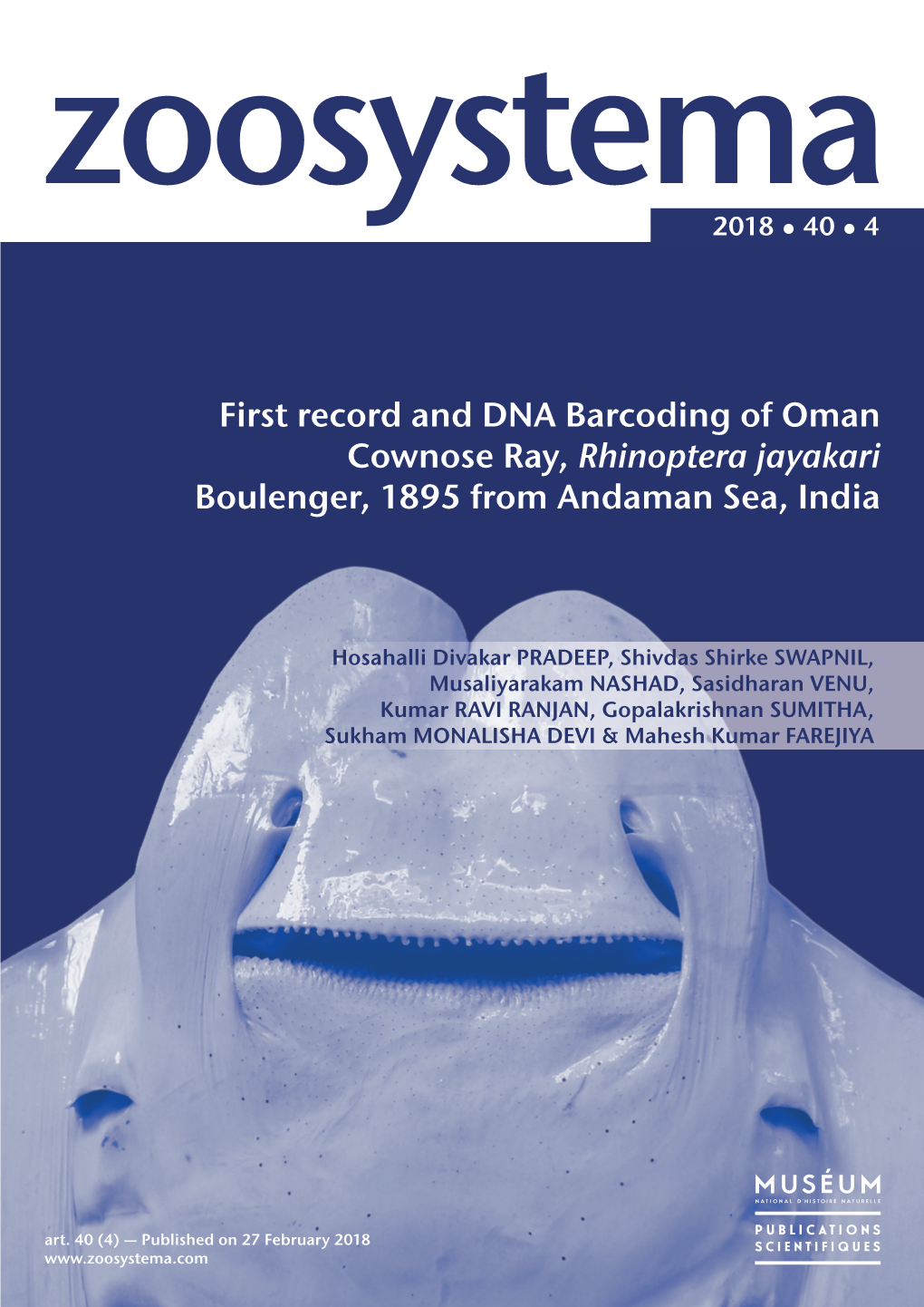 First Record and DNA Barcoding of Oman Cownose Ray, Rhinoptera Jayakari Boulenger, 1895 from Andaman Sea, India