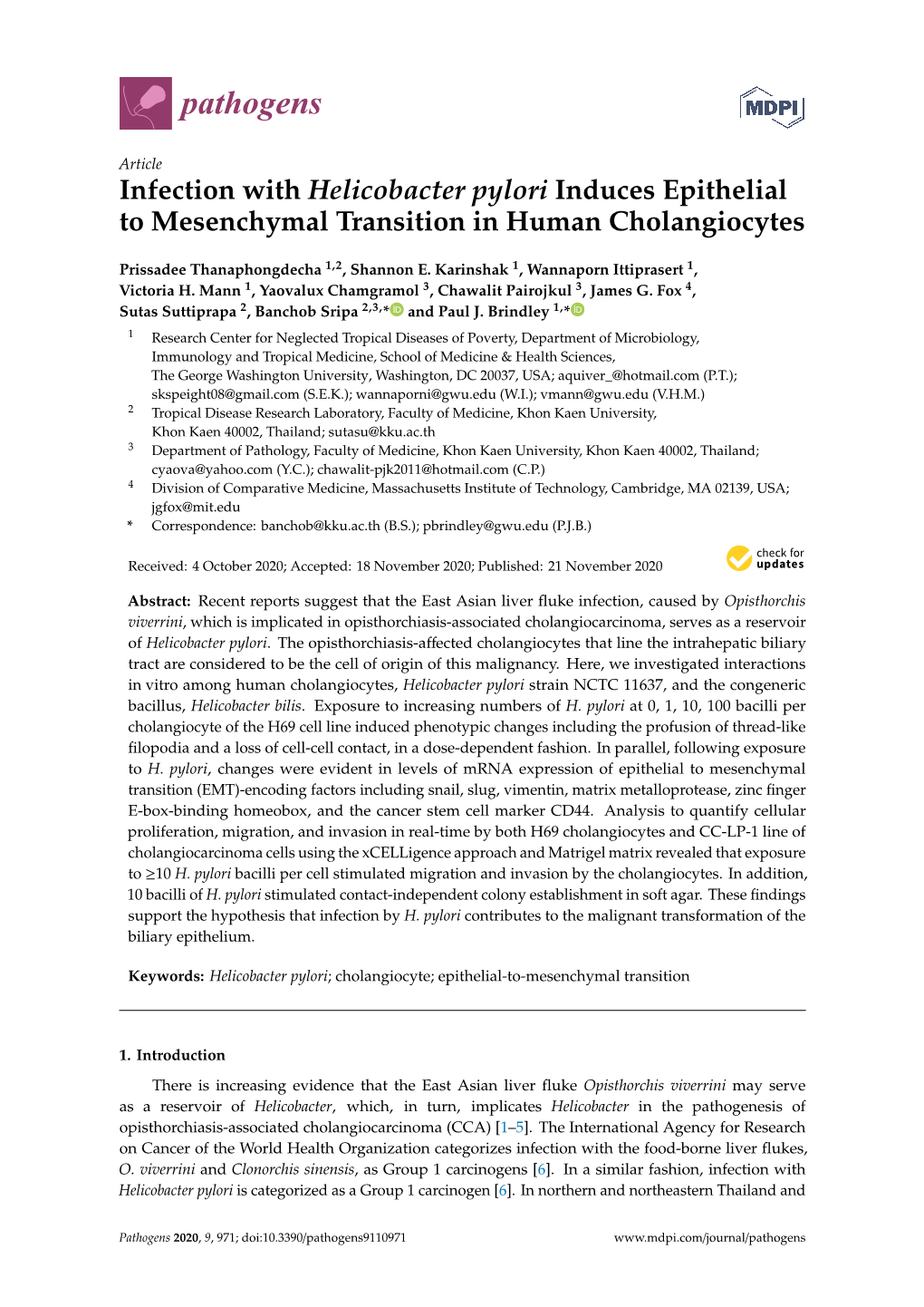 Infection with Helicobacter Pylori Induces Epithelial to Mesenchymal Transition in Human Cholangiocytes