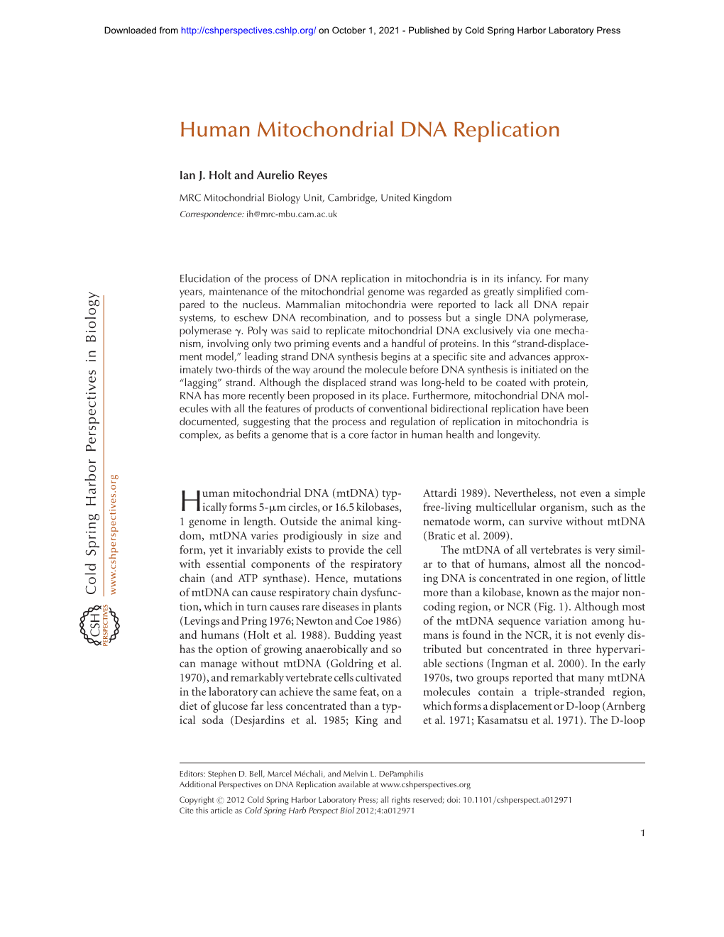 Human Mitochondrial DNA Replication