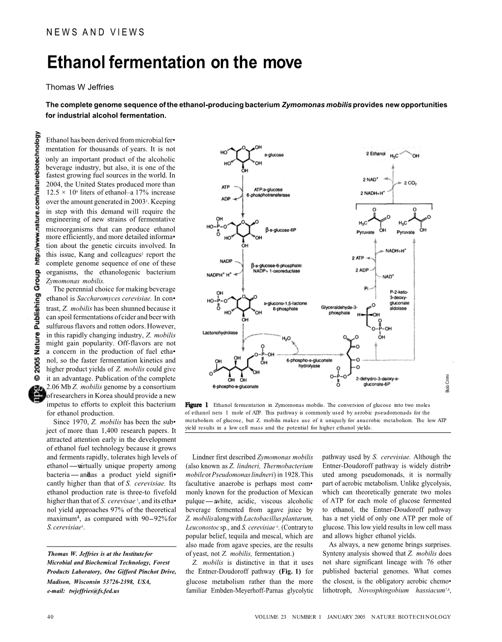 Ethanol Fermentation on the Move