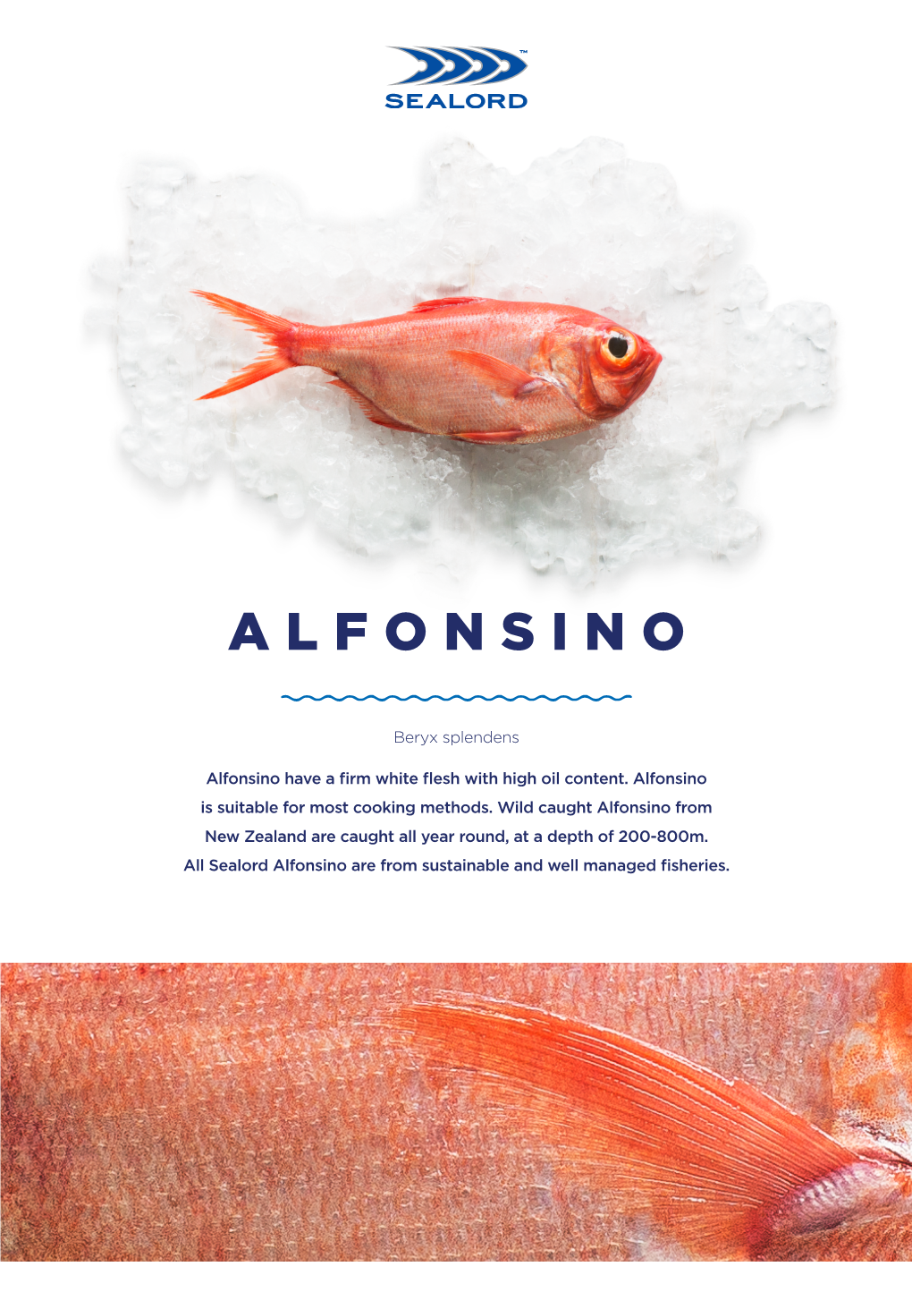 Alfonsino Species Sheet