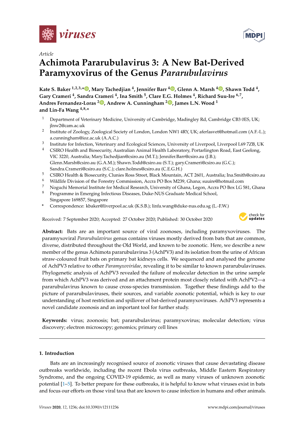 A New Bat-Derived Paramyxovirus of the Genus Pararubulavirus