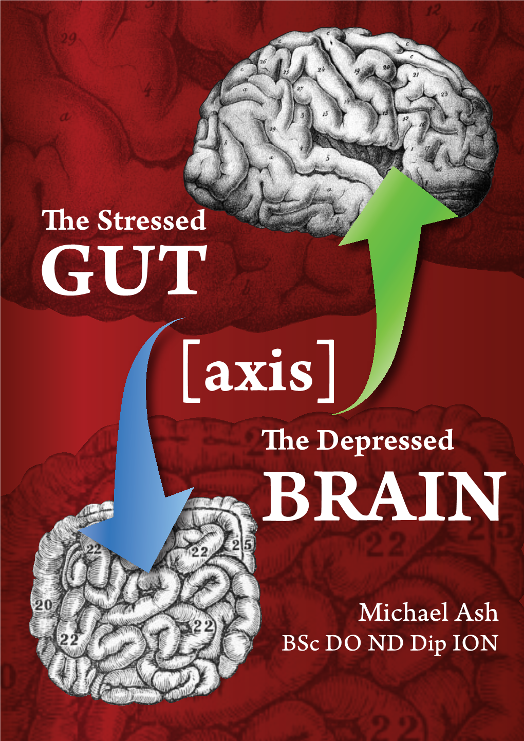 Gut Brain Axis