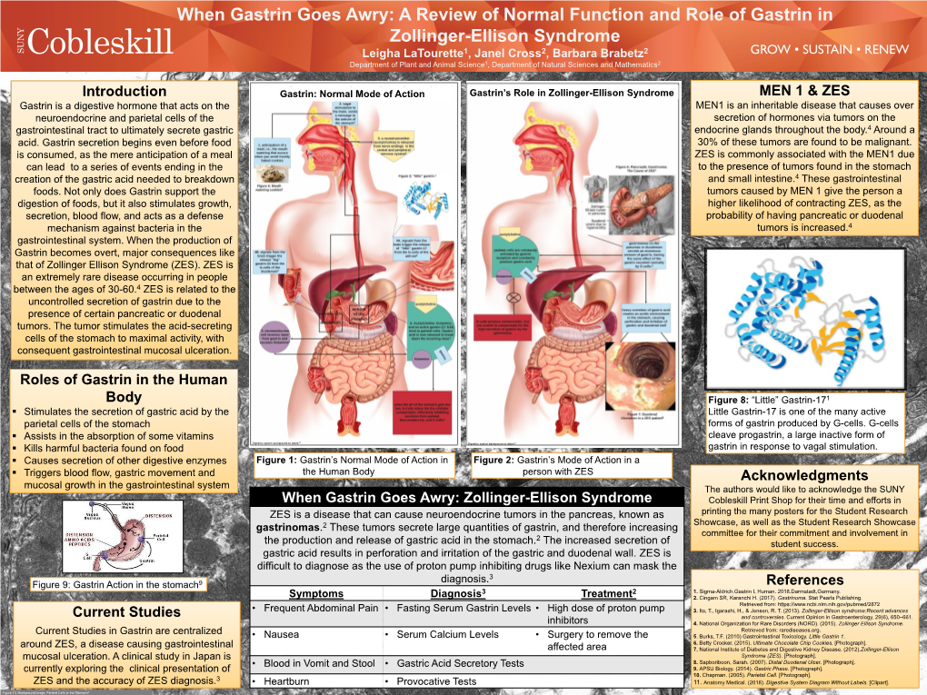 A Review of Normal Function and Role of Gastrin in Zollinger-Ellison