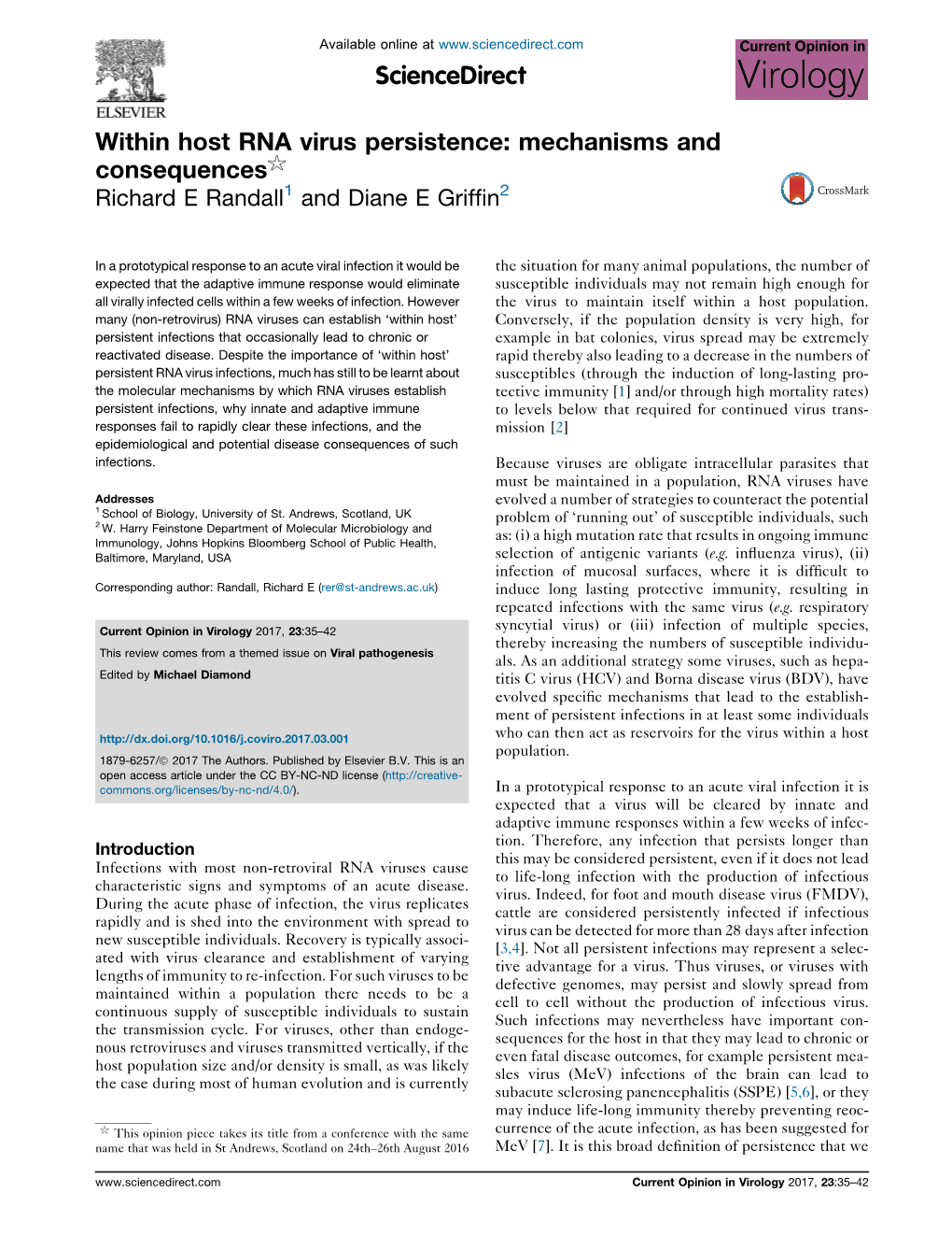 Within Host RNA Virus Persistence: Mechanisms and Consequences$