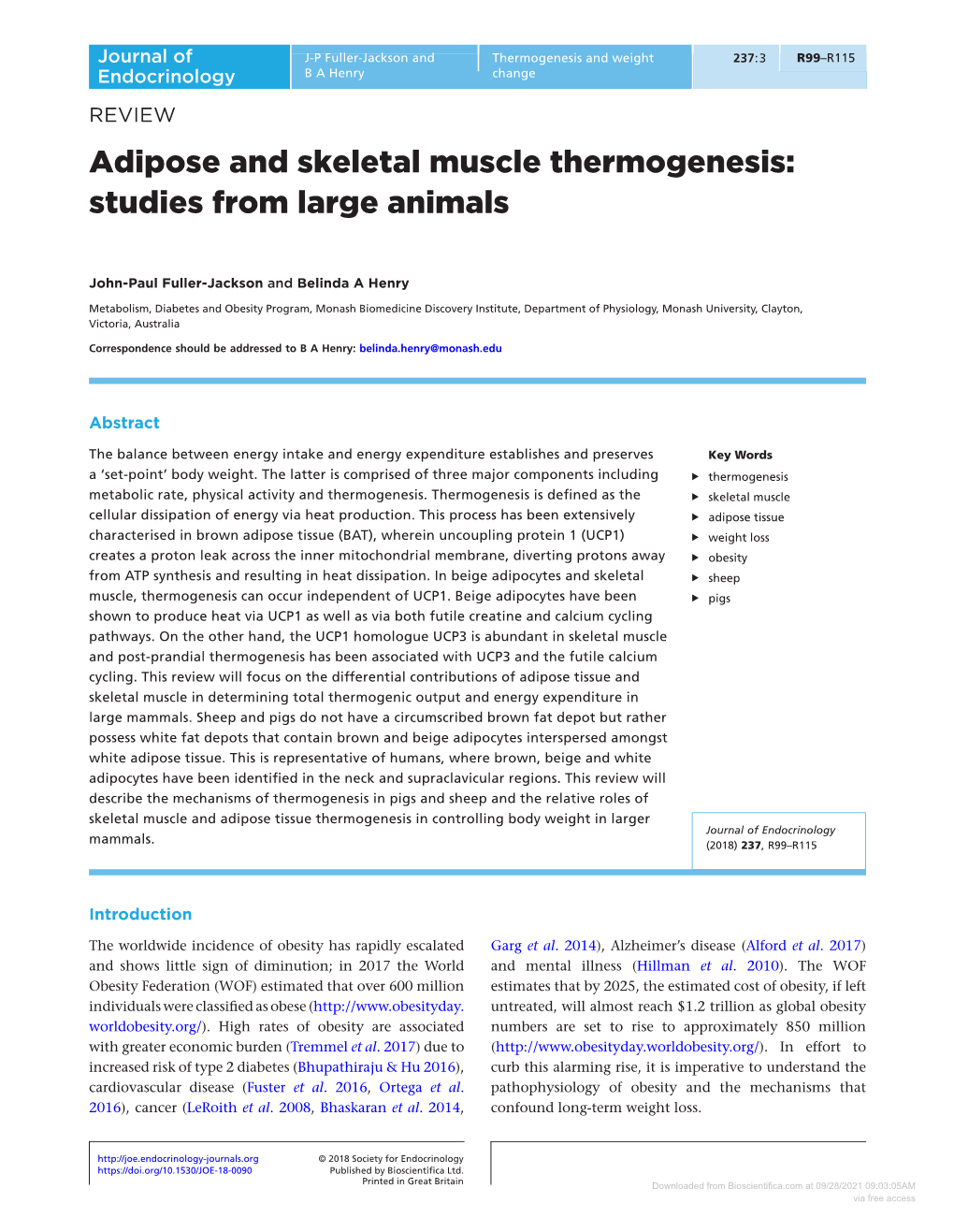 Adipose and Skeletal Muscle Thermogenesis: Studies from Large Animals