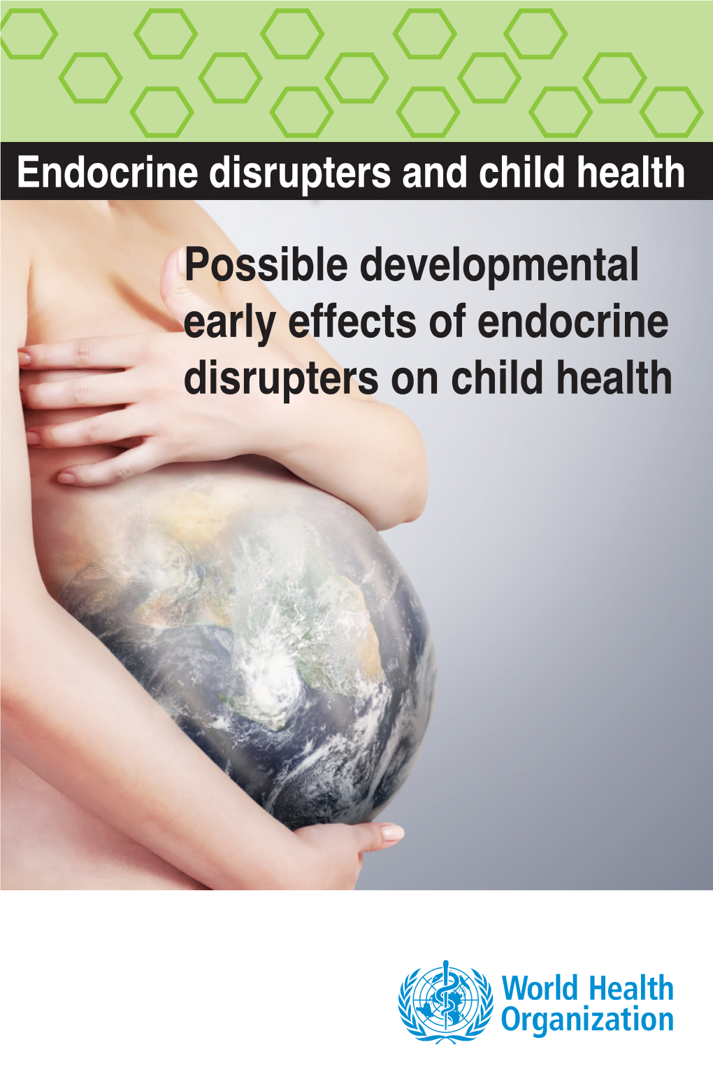 Possible Developmental Early Effects of Endocrine Disrupters on Child