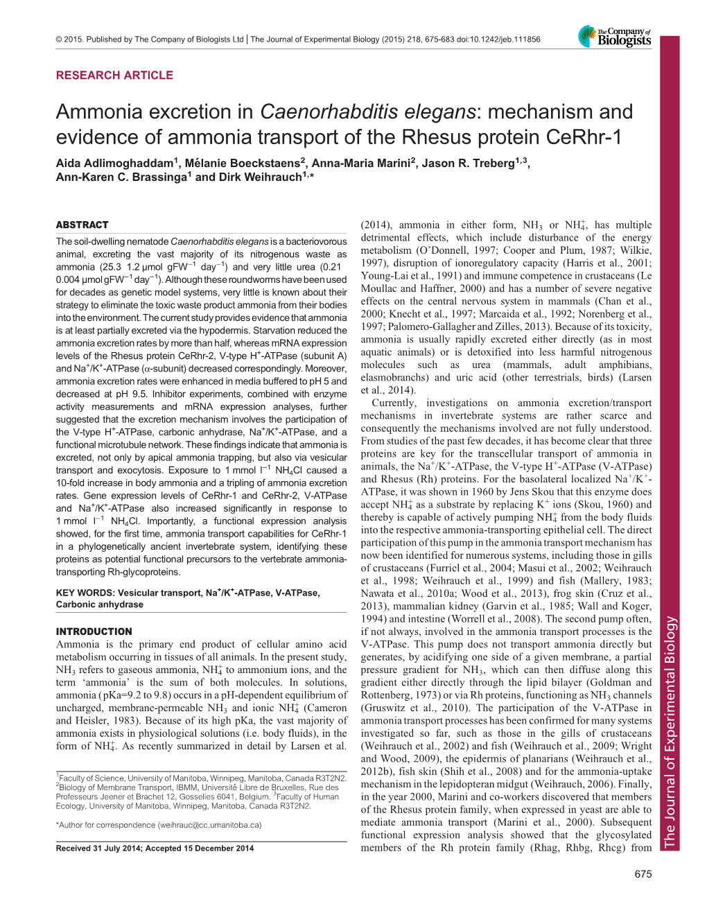 Ammonia Excretion in Caenorhabditis Elegans