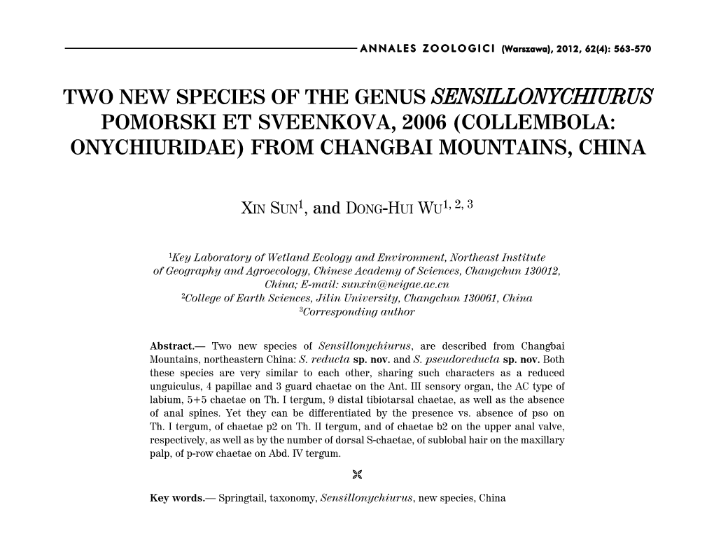 Two New Species of the Genus Sensillonychiurus Pomorski Et Sveenkova, 2006 (Collembola: Onychiuridae) from Changbai Mountains, China